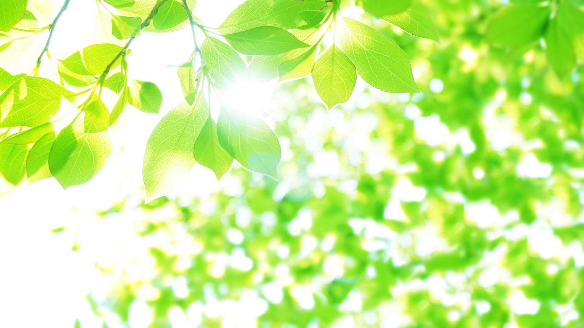 コース紹介イメージ