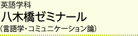 英語学科 八木橋ゼミナール（言語学・コミュニケーション論）