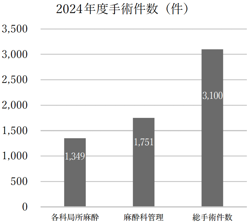 2024年度手術件数（件）