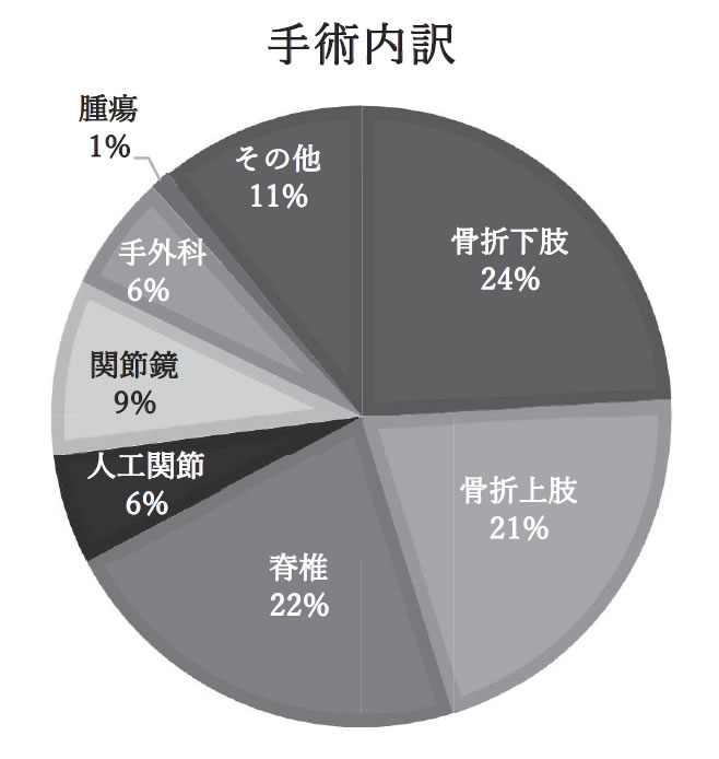 入手術内訳